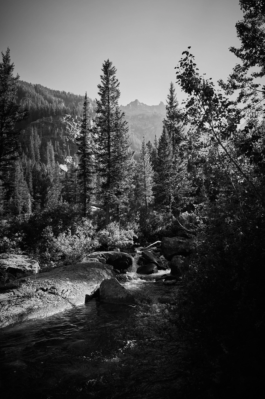 The Cascade Canyon Trail in Grand Teton National Park